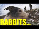 Fieldsports Britain - Rabbiting with ferrets and lurchers, foxshooting and gundogs (episode 170)