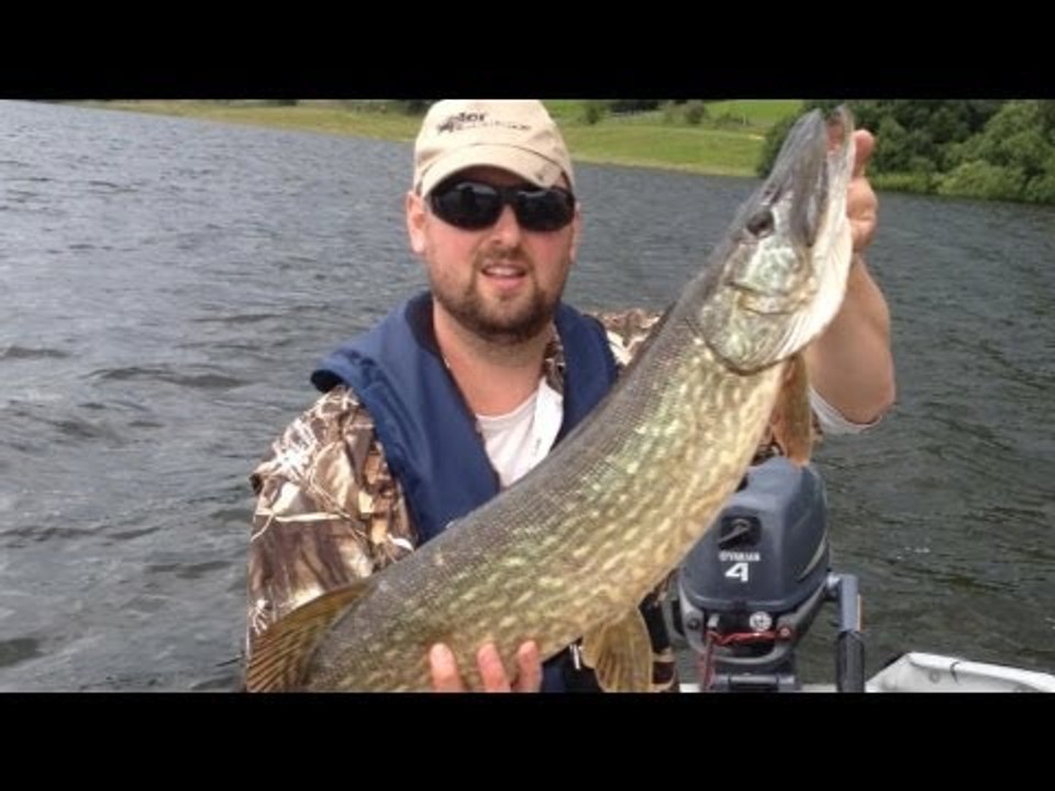 Predator fishing in the UK - Pike and Perch.