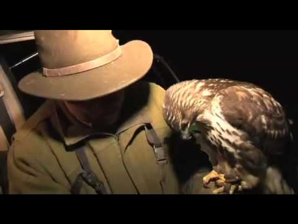 Fieldsports Britain - Lamping with hawks + Olympic shooting + cooking squirrels