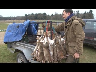 Hardcore ferreting / rabbit hunting with Simon Whitehead