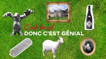 C'est local, donc c'est génial - 12/12/2017