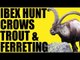 Fieldsports Britain : Hunting ibex, crow control, trout and ferreting  (episode 178)