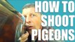 Fieldsports Britain : How to shoot pigeons + muntjac stalking  (episode 180)