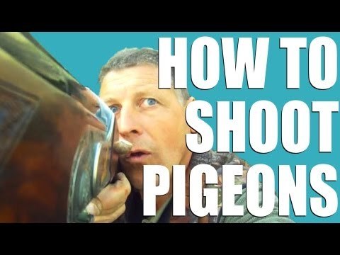 Fieldsports Britain : How to shoot pigeons + muntjac stalking (episode 180)