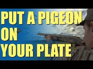 Fieldsports Britain - Pigeon shooting perfection + recipe (episode 192)