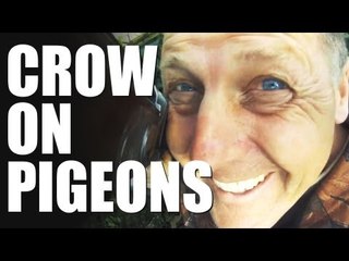 Pigeon shooting with Andy Crow: knock-down power  (CrowHow Ep1)