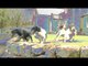 Fieldsports Britain - Drumlanrig Castle dogs + pigeons, rabbits and deer (episode 64)