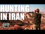 Headhunter Chronicles - Hunting sheep in Iran