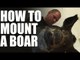 Max Hunt's taxidermist -  how to mount a wild boar head