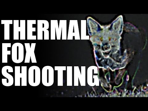 Fieldsports Britain - Thermal fox shooting (episode 207)