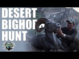 Headhunter Chronicles - Desert bighorn sheep in Mexico