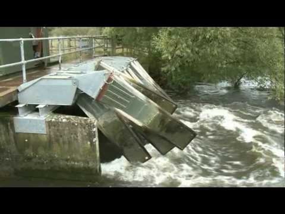 GWCT salmon research