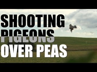 Pigeon & Peas - from field to fork
