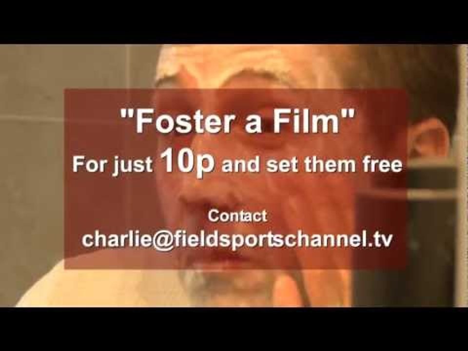 Foster a film
