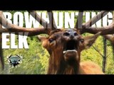 Headhunter Chronicles - Bow hunting giant California elk