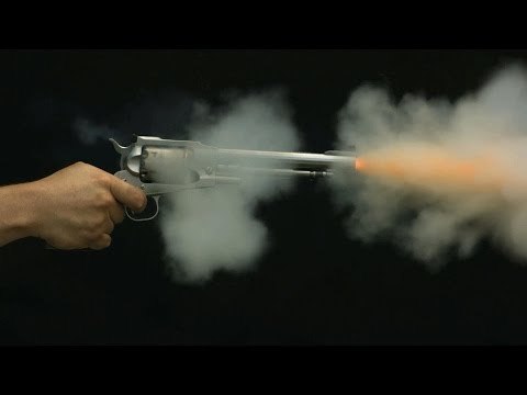 Fieldsports Channel News - Bring back handguns and eat road kill