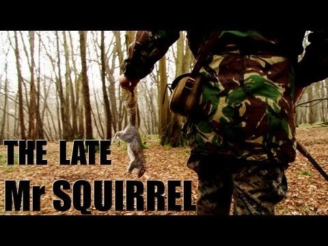 Fieldsports Britain - Wicked Mr Squirrel + kids go shooting + pigeons