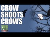 Crow shoots crows (episode 220)