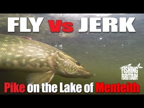 Pike on the Lake of Menteith Fly and Lure - Fishing Britain Short
