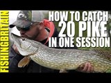 How to catch 20 pike in one session - Fishing Britain episode 8
