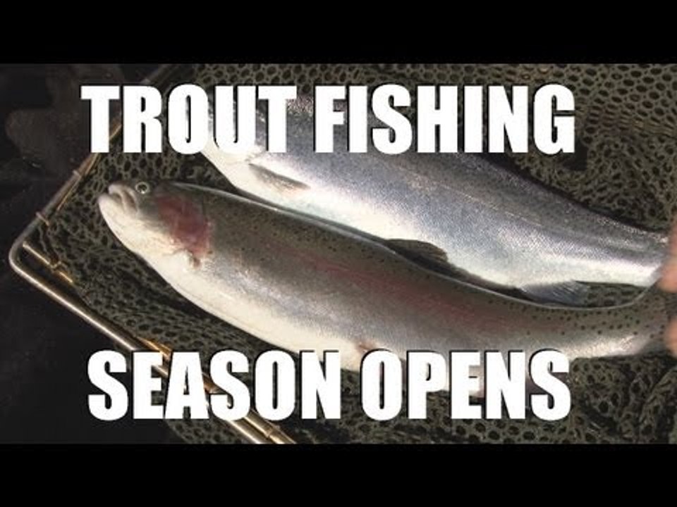 Fieldsports Britain - Trout fishing and the first roebuck of the season (episode 123)