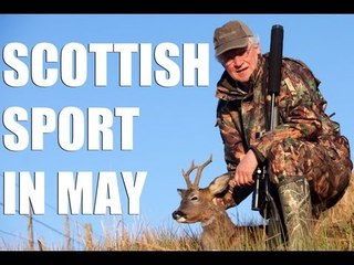Fieldsports Britain - Scottish deer, pigeons and English foxshooting (episode 127)