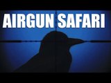 Fieldsports Britain : Airgun safari round a British garden   hunting red hartebeest  (episode 134)