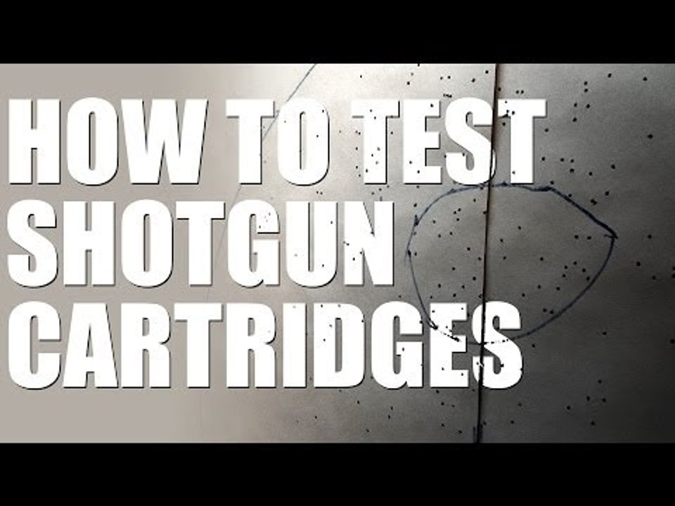 Shotgun cartridge test... your shooting will improve