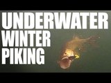Underwater Winter Pike Fishing - Fishing Britain Shorts