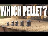Which air rifle pellet?
