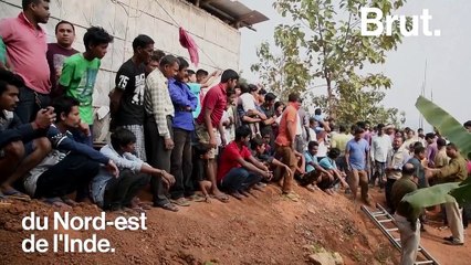 Un léopard secouru du fond d'un puits en Inde
