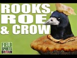 Fieldsports Britain - Rooks, Roe & Crow (episode 233)