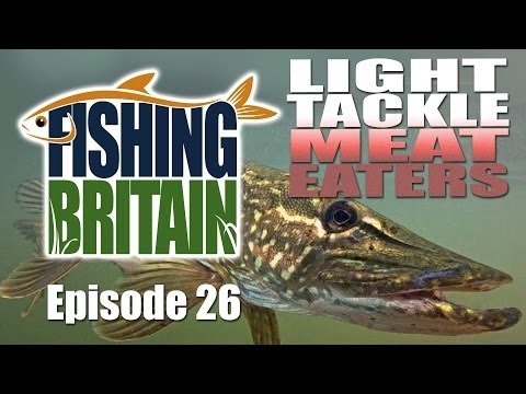 Light Tackle Meat Eaters - Fishing Britain episode 26