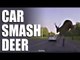 Car Smash Deer - Fieldsports Channel News