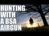 Hunting with a BSA spring air rifle