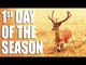 Big Fallow Bucks - 1st day of the Shooting Season