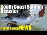 South Coast Salmon Disaster - Fishing Britain News #23