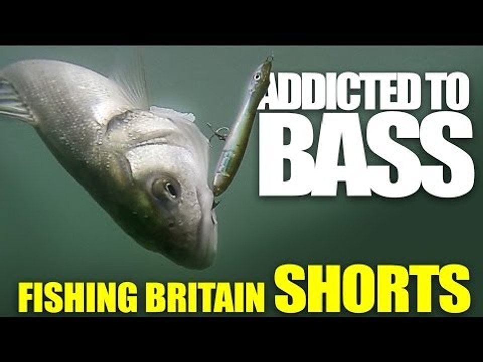 Addicted to Bass - Feel Alive