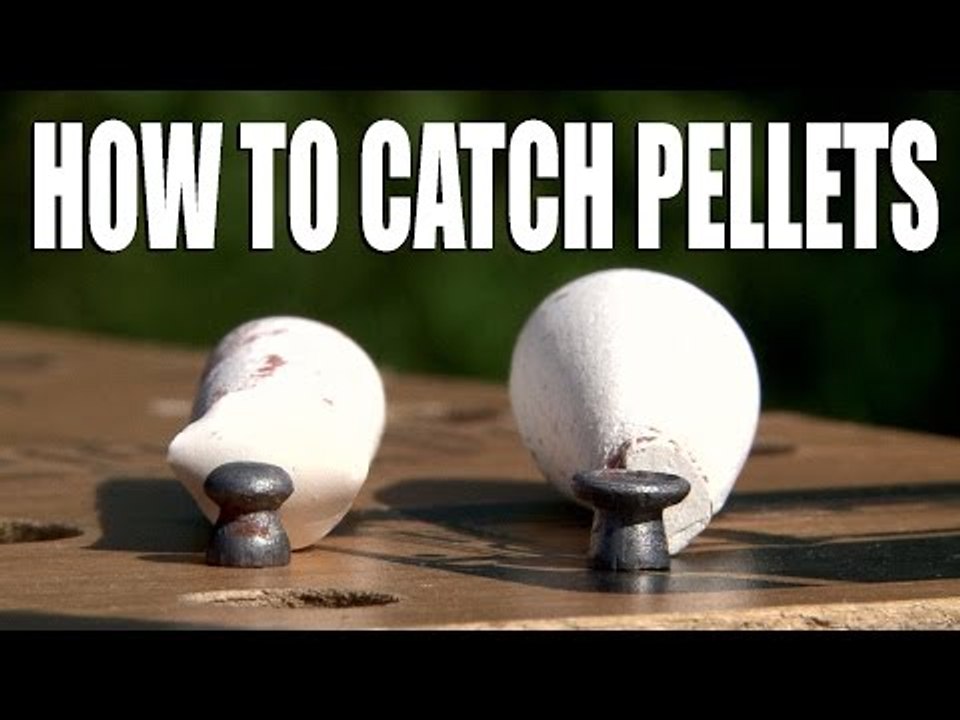 How to catch pellets