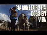 Dog's eye view of the 2014 CLA Game Fair