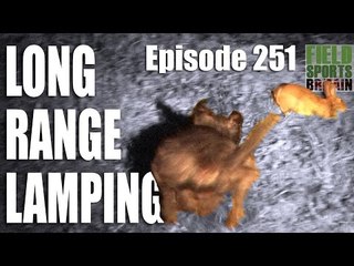 Fieldsports Britain - Long Range Lamping