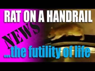Rat on a Moving Handrail - HotAir Airgun News