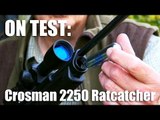 Crosman 2250 Ratcatcher airgun on test