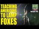 Fieldsports Britain - Teaching Americans to Lamp Foxes