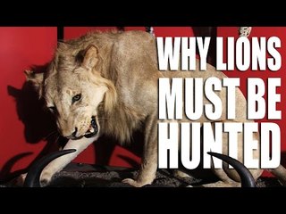 Why Lions Must be Hunted