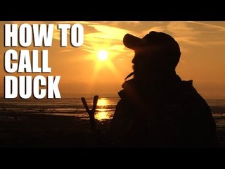 How to Call Duck