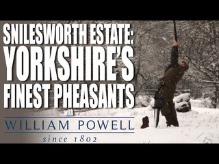 Snilesworth Estate - Pheasants on a Grouse moor