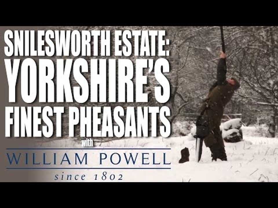Snilesworth Estate - Pheasants on a Grouse moor