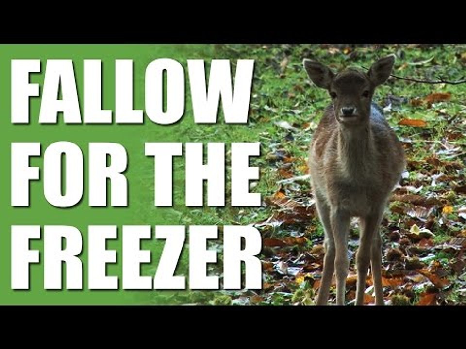 Fallow for the Freezer