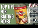 Top Tips for Baiting Foxes